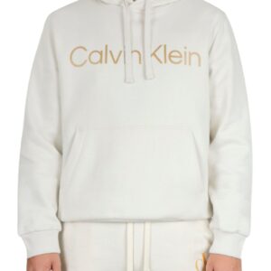 Long Sleeves Metallic Logo Po Hoodie