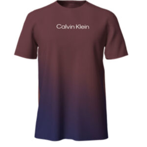 Short Sleeves Linear Logo Crew Tee